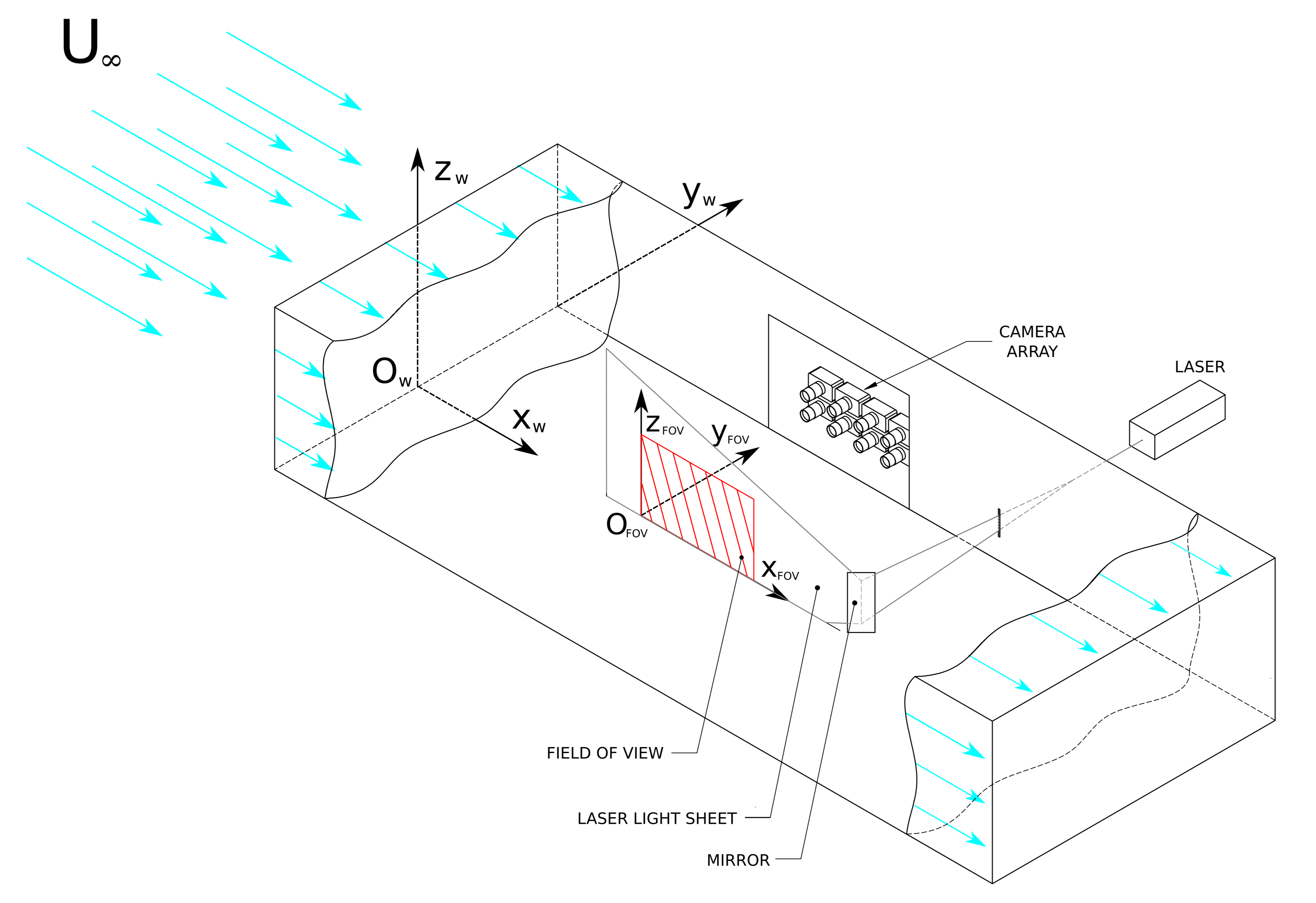 PIV Setup